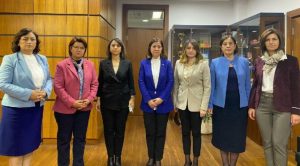 CHP'li kadın milletvekillerinden 'eşit temsil' çağrısı  