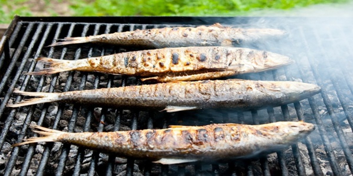 Kasımın en lezzetlisi: Uskumru balığının faydaları #2