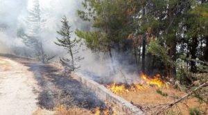 Orman yangınları araştırılsın önerisini AKP ve MHP reddetti