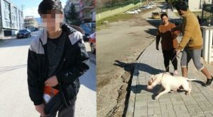 13 yaşındaki çocuğa saldıran pitbullun sahibine 12 bin lira ceza