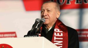 Erdoğan: Beyaz Türkler, hayvanlarınıza sahip çıkın