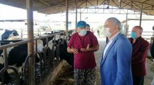 'Süt fiyatı artıkça destekleme düşüyor'