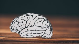 Beyin fonksiyonlarını ve öğrenmeyi geliştiren 5 besin