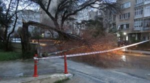 Kadıköy'de ağaç ve aydınlatma direği yola devrildi