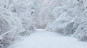 Meteoroloji'den Marmara bölgesine kar uyarısı