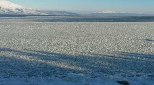 Türkiye'nin 4. büyük gölü buz tuttu